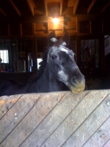 Easter_Bday_22Apr2011