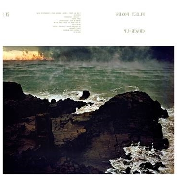 fleet foxes crack up