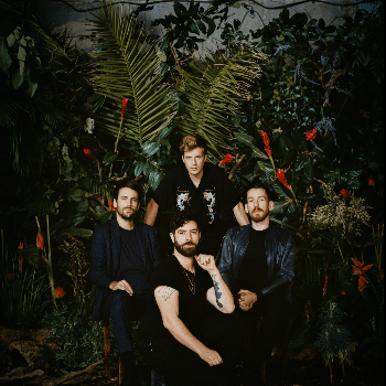 foals